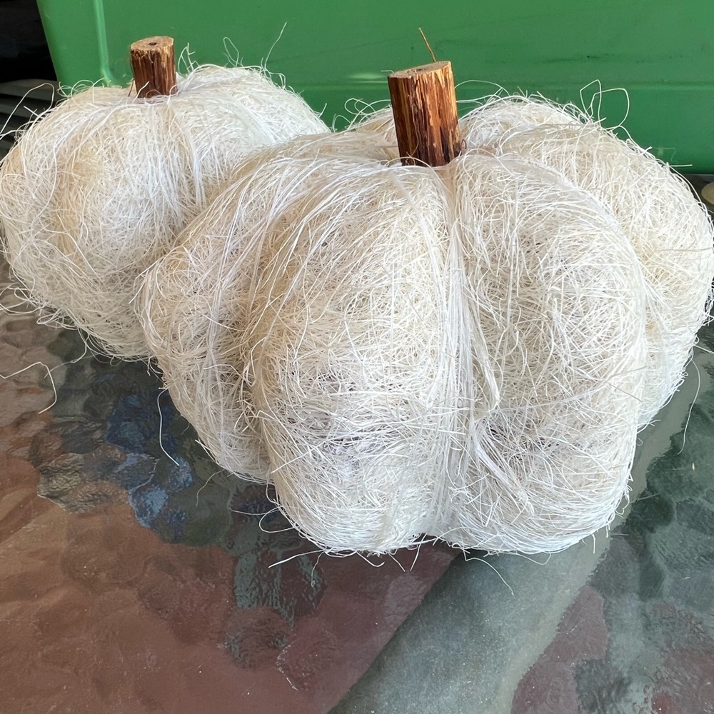 2 Twine wrapped pumpkins